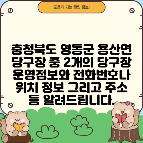 충청북도 영동군 용산면 당구장 중 2개의 당구장 운영정보와 전화번호나 위치 정보 그리고 주소 등 알려드립니다.