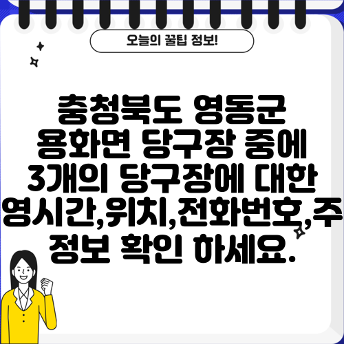 충청북도 영동군 용화면 당구장 중에 3개의 당구장에 대한 운영시간,위치,전화번호,주소 정보 확인 하세요.