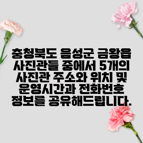 충청북도 음성군 금왕읍 사진관들 중에서 5개의 사진관 주소와 위치 및 운영시간과 전화번호 정보를 공유해드립니다.