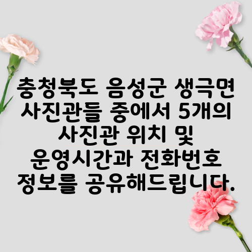 충청북도 음성군 생극면 사진관들 중에서 5개의 사진관 위치 및 운영시간과 전화번호 정보를 공유해드립니다.