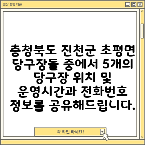 충청북도 진천군 초평면 당구장들 중에서 5개의 당구장 위치 및 운영시간과 전화번호 정보를 공유해드립니다.