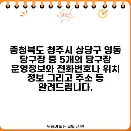 충청북도 청주시 상당구 영동 당구장 중 5개의 당구장 운영정보와 전화번호나 위치 정보 그리고 주소 등 알려드립니다.