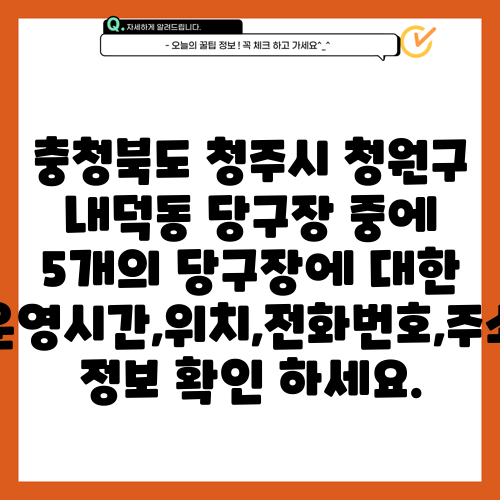 충청북도 청주시 청원구 내덕동 당구장 중에 5개의 당구장에 대한 운영시간,위치,전화번호,주소 정보 확인 하세요.