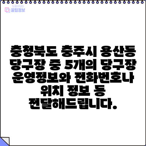 충청북도 충주시 용산동 당구장 중 5개의 당구장 운영정보와 전화번호나 위치 정보 등 전달해드립니다.